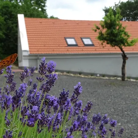 דירה Kosbor Vendeghaz Monoszlo