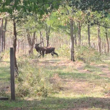 Apartamento Kosbor *