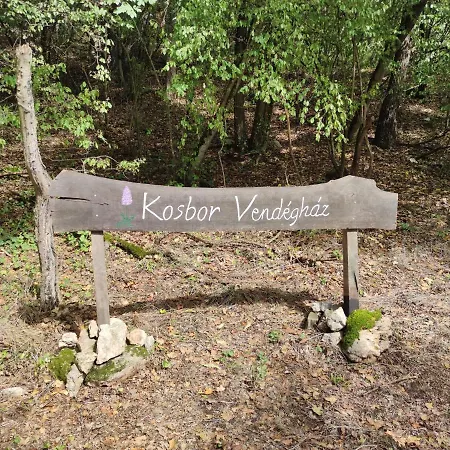 Kosbor Vendeghaz 公寓