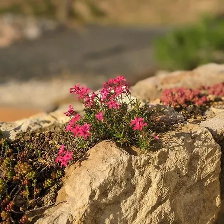 Lägenhet Kosbor Vendeghaz