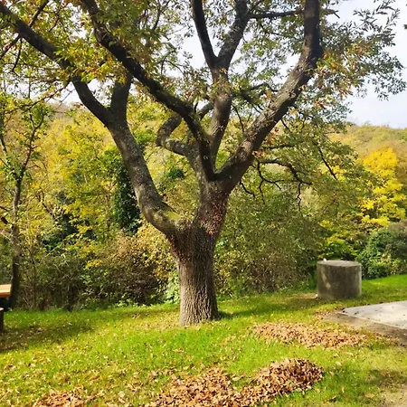 דירה Kosbor Vendeghaz *