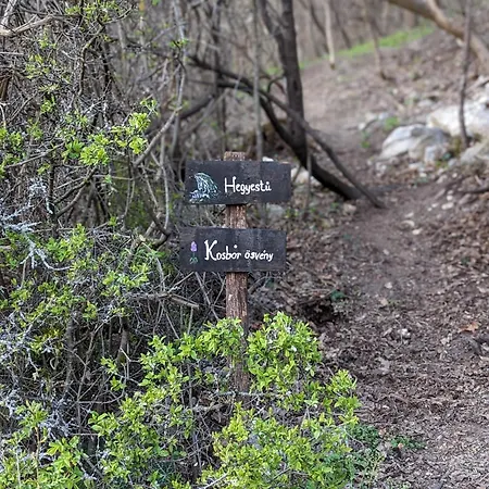 Lägenhet Kosbor Vendeghaz