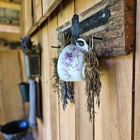 Daire Kosbor Vendeghaz Monoszlo