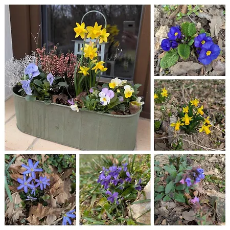 Lägenhet Kosbor Vendeghaz Monoszlo