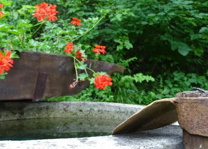 Kosbor Vendeghaz Monoszlo