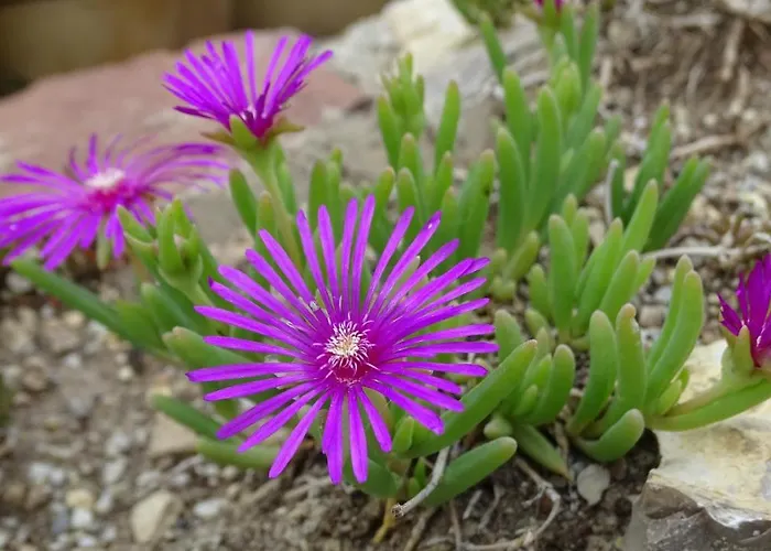 شقة Kosbor Vendeghaz Monoszlo