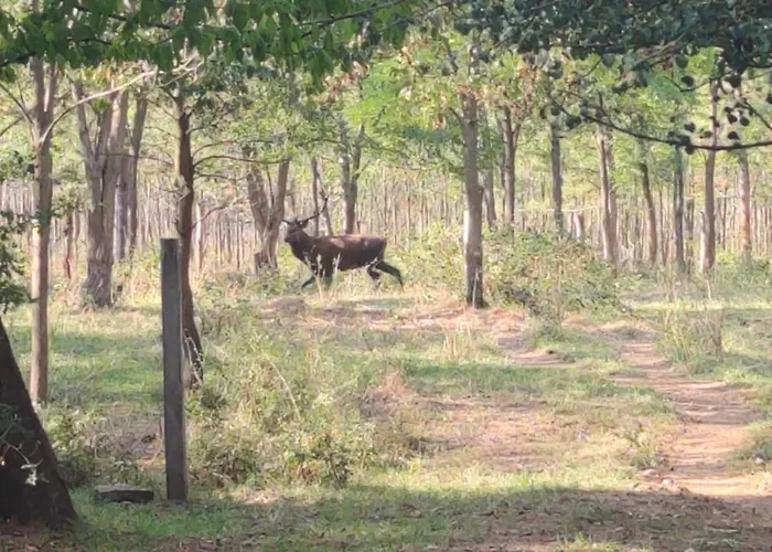 شقة Kosbor Vendeghaz *