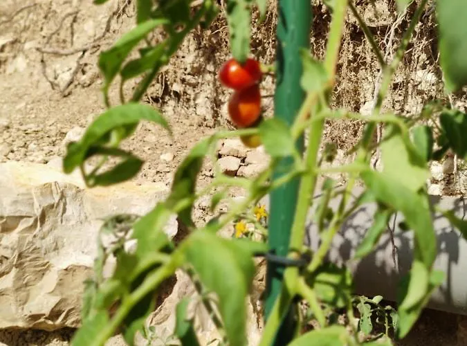 Kosbor Vendeghaz * Monoszló