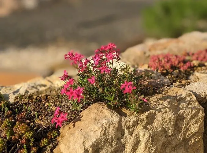 アパート Kosbor Vendeghaz