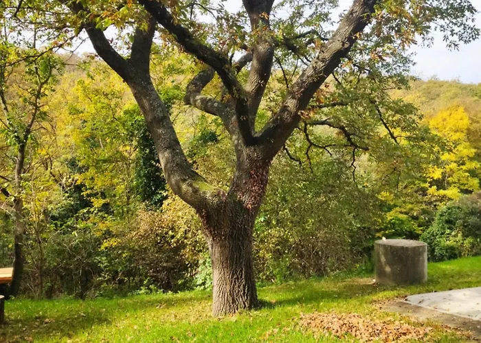 شقة Kosbor Vendeghaz *