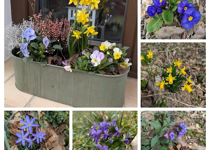 Apartamento Kosbor Monoszlo